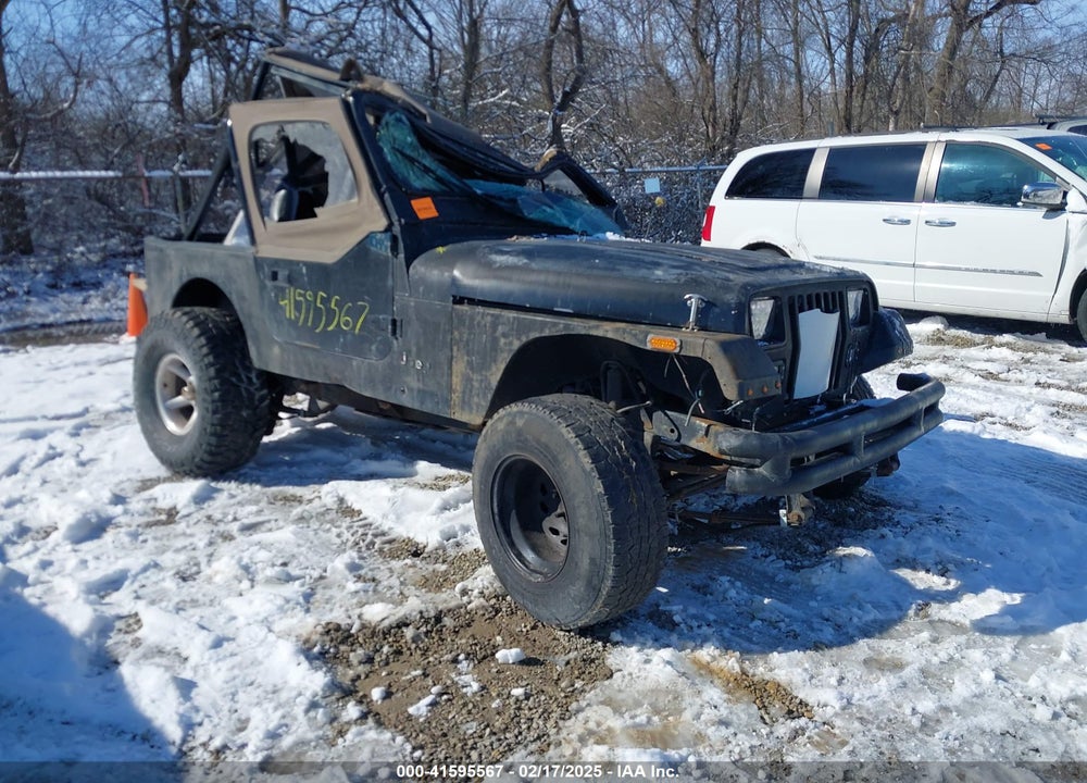 1991 JEEP WRANGLER / YJ S VIN: 2J4FY19P1MJ154813