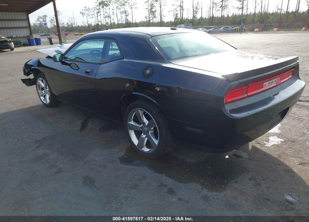 2010 DODGE CHALLENGER VIN: 2B3CJ4DV3AH323593