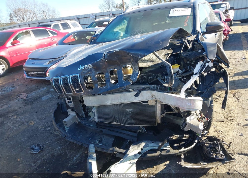 2019 JEEP CHEROKEE VIN: 1C4PJLDB2KD143844