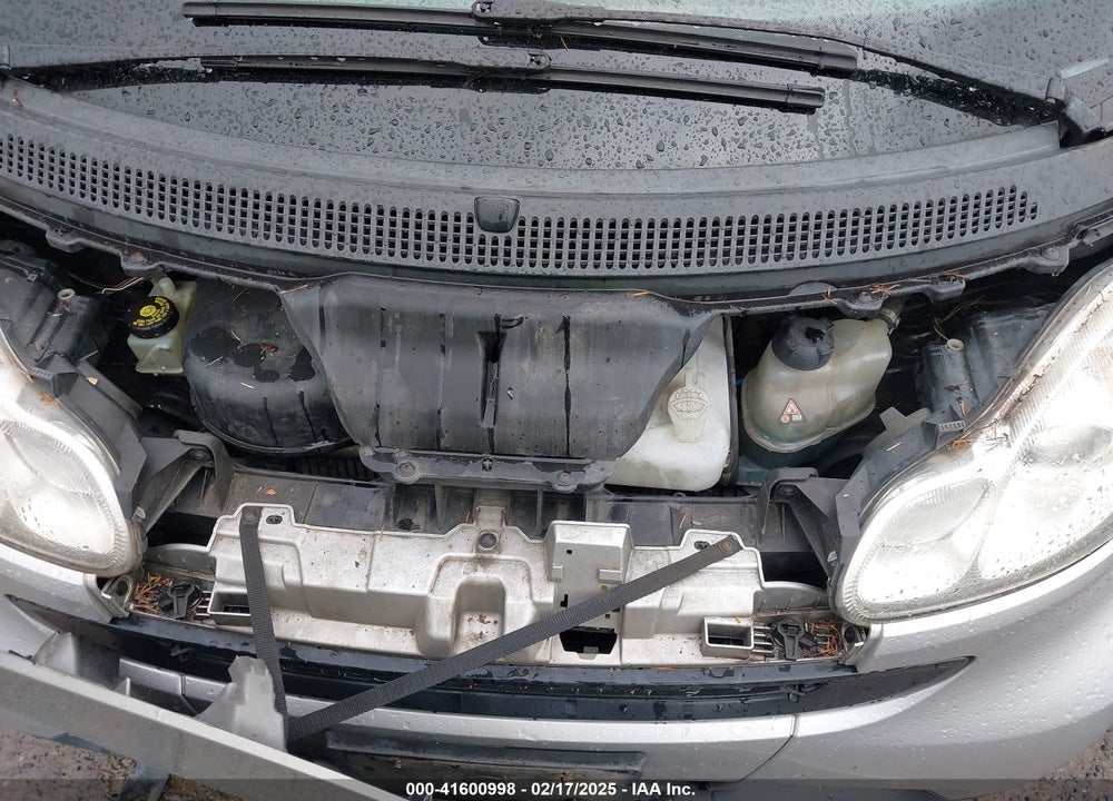 2009 SMART FORTWO VIN: WMEEJ31X09K224159