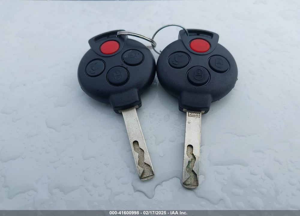 2009 SMART FORTWO VIN: WMEEJ31X09K224159