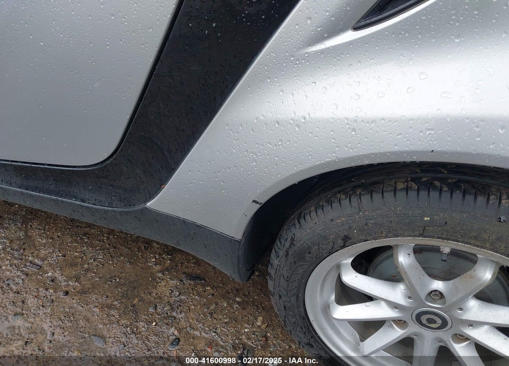 2009 SMART FORTWO VIN: WMEEJ31X09K224159
