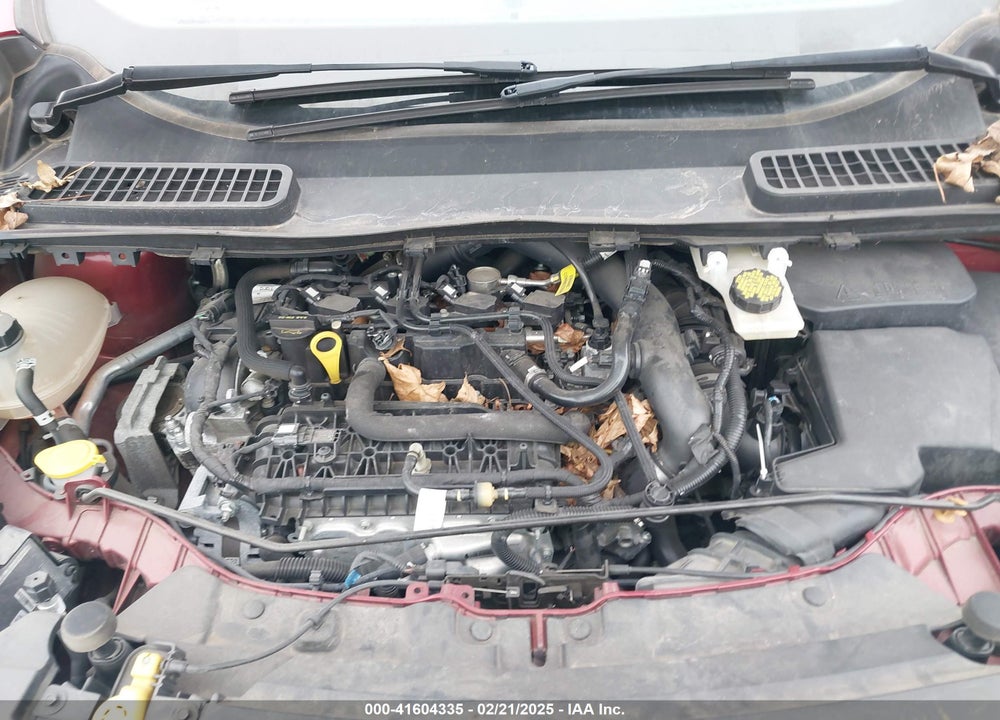 2019 FORD ESCAPE VIN: 1FMCU0HD0KUB47113