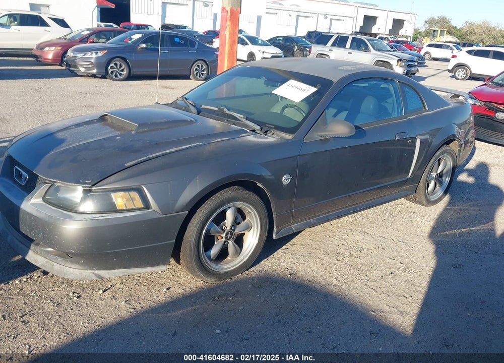 2004 FORD MUSTANG GT VIN: 1FAFP42X84F115624