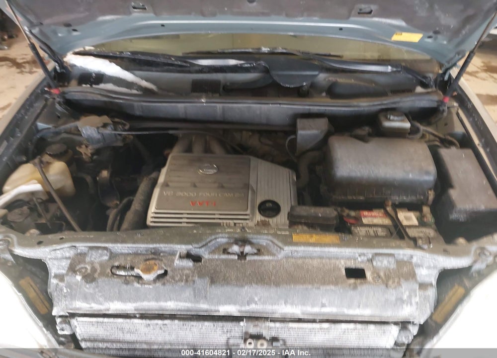 2002 LEXUS RX 300 VIN: JTJHF10U720272717