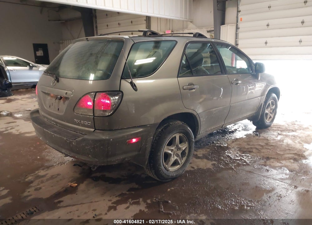 2002 LEXUS RX 300 VIN: JTJHF10U720272717