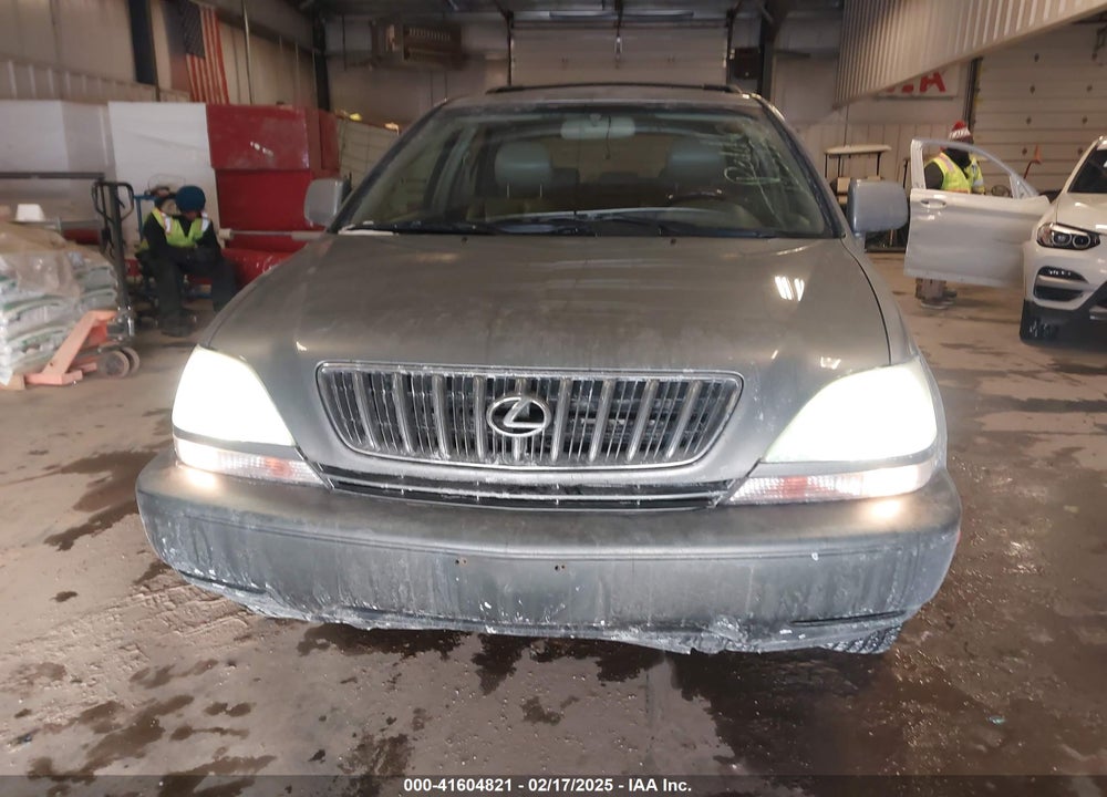 2002 LEXUS RX 300 VIN: JTJHF10U720272717