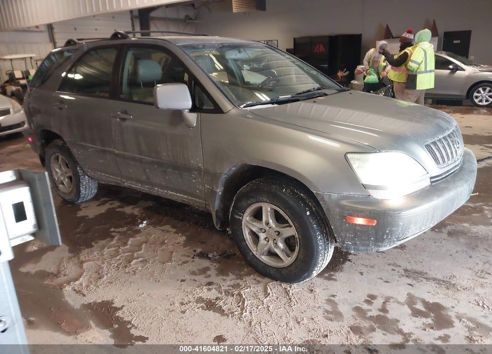 2002 LEXUS RX 300 VIN: JTJHF10U720272717