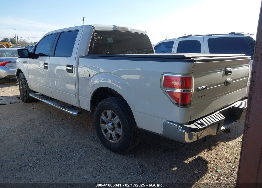 2010 FORD F-150 VIN: 1FTEW1C81AFD22804