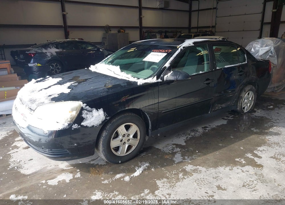 2004 CHEVROLET MALIBU VIN: 1G1ZT54824F114122