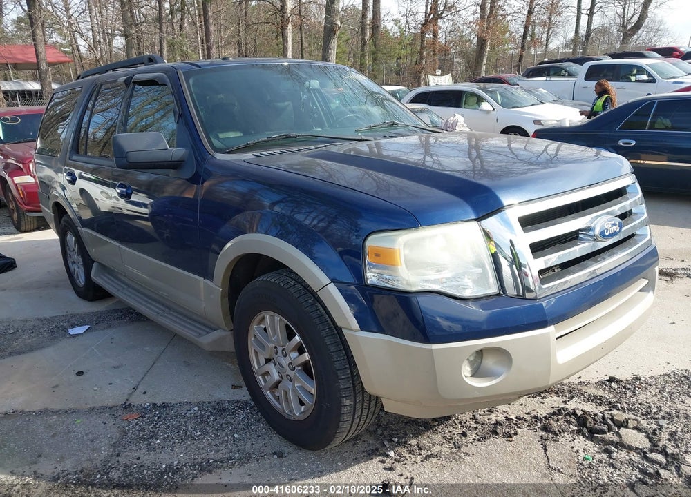 2010 FORD EXPEDITION VIN: 1FMJU1H51AEB63111