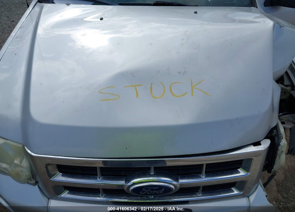 2011 FORD ESCAPE XLT VIN: 1FMCU9D76BKA63281