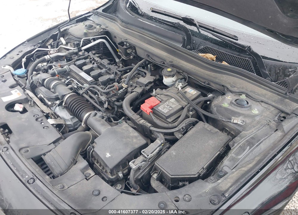 2019 HONDA ACCORD VIN: 1HGCV1F31KA171814
