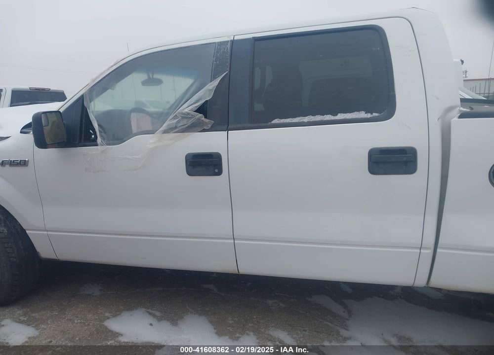 2012 FORD F150 VIN: 1FTEW1CM0CFA60290