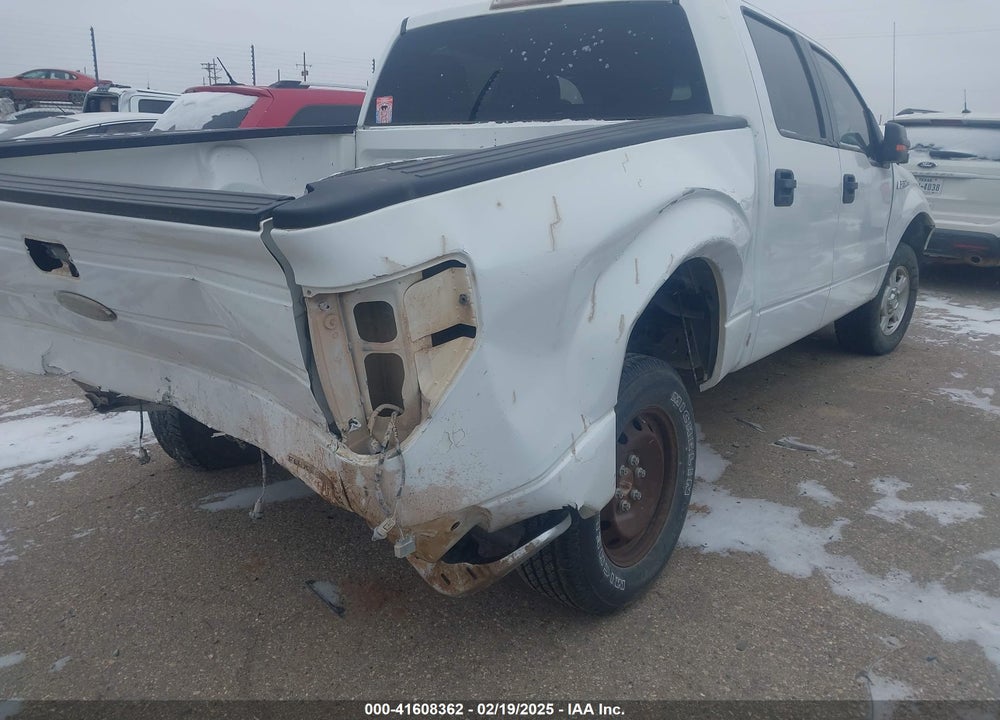 2012 FORD F150 VIN: 1FTEW1CM0CFA60290