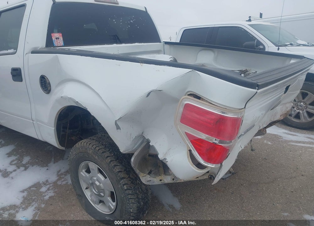 2012 FORD F150 VIN: 1FTEW1CM0CFA60290