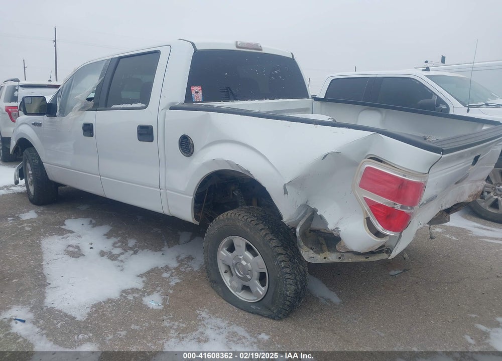 2012 FORD F150 VIN: 1FTEW1CM0CFA60290