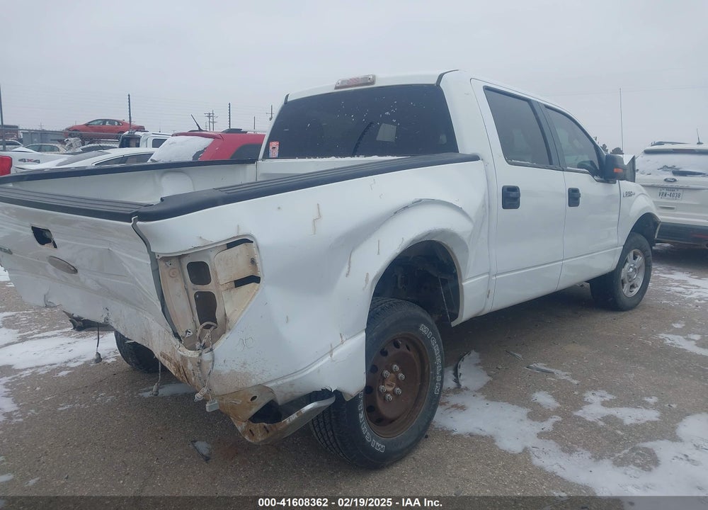 2012 FORD F150 VIN: 1FTEW1CM0CFA60290