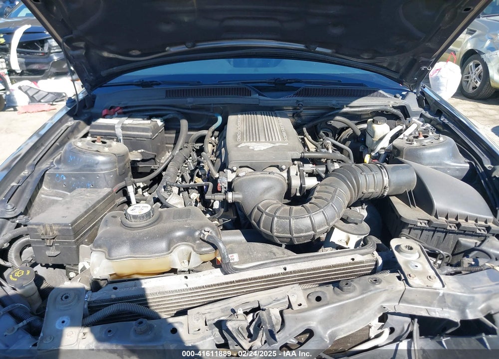 2009 FORD MUSTANG VIN: 1ZVHT82H895128608