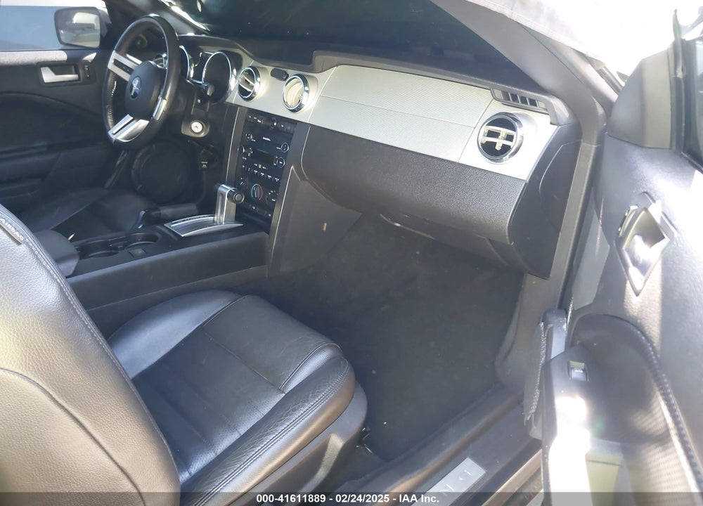 2009 FORD MUSTANG VIN: 1ZVHT82H895128608