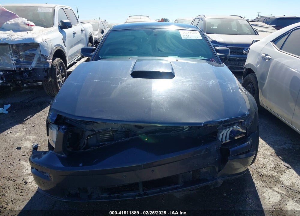 2009 FORD MUSTANG VIN: 1ZVHT82H895128608