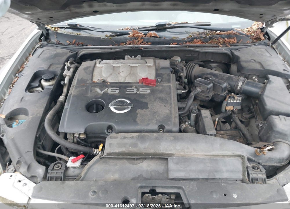 2005 NISSAN MAXIMA 3.5 SE VIN: 1N4BA41EX5C855131