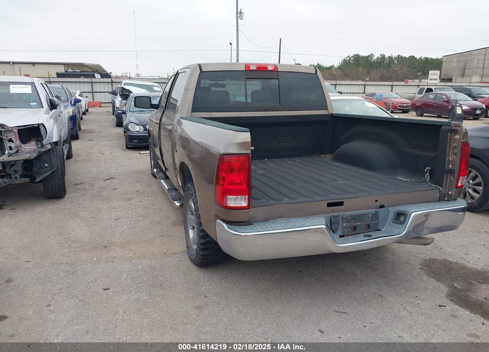 2009 DODGE RAM 1500 VIN: 1D3HB13P69S771874