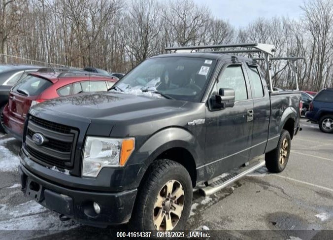 2013 FORD F150 VIN: 1FTFX1EF3DFA70846