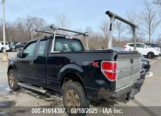 2013 FORD F150 VIN: 1FTFX1EF3DFA70846