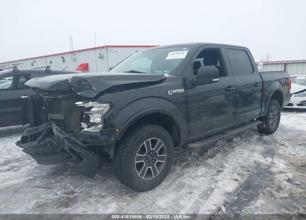 2015 FORD F150 VIN: 1FTEW1EF7FKD42551