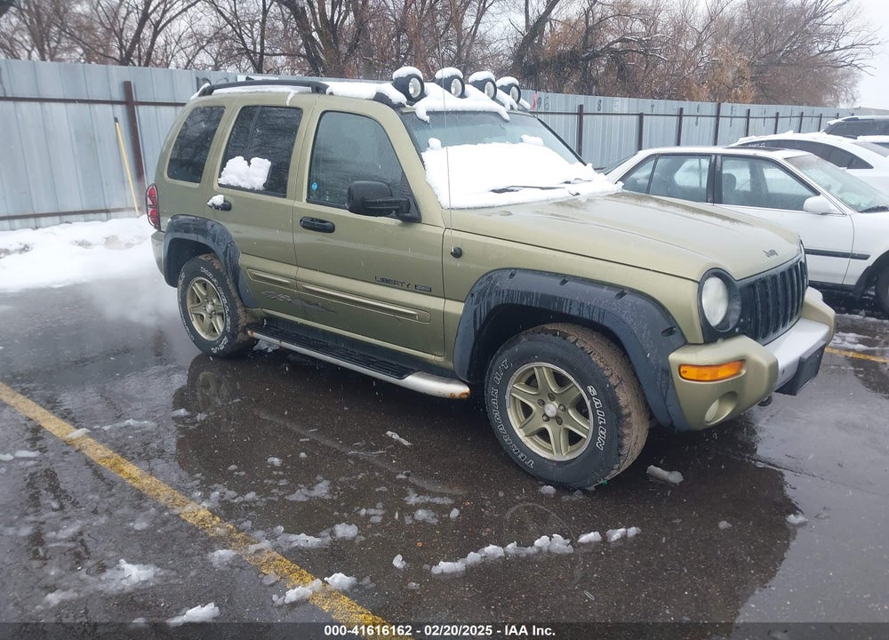 2002 JEEP LIBERTY RENEGADE VIN: 1J4GL38K22W354030