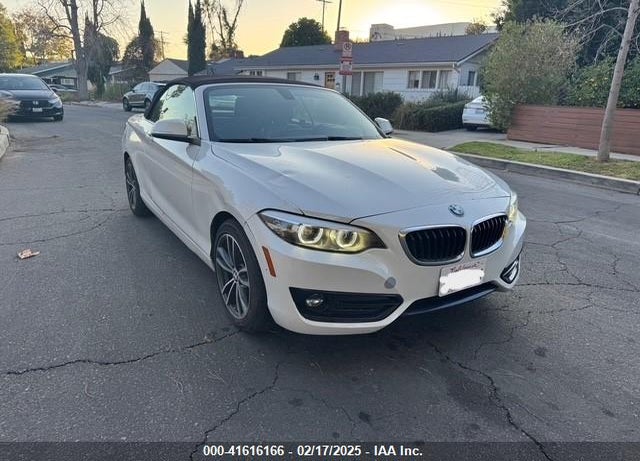 2018 BMW 230I XDRIVE VIN: WBA2K1C55JVB64560
