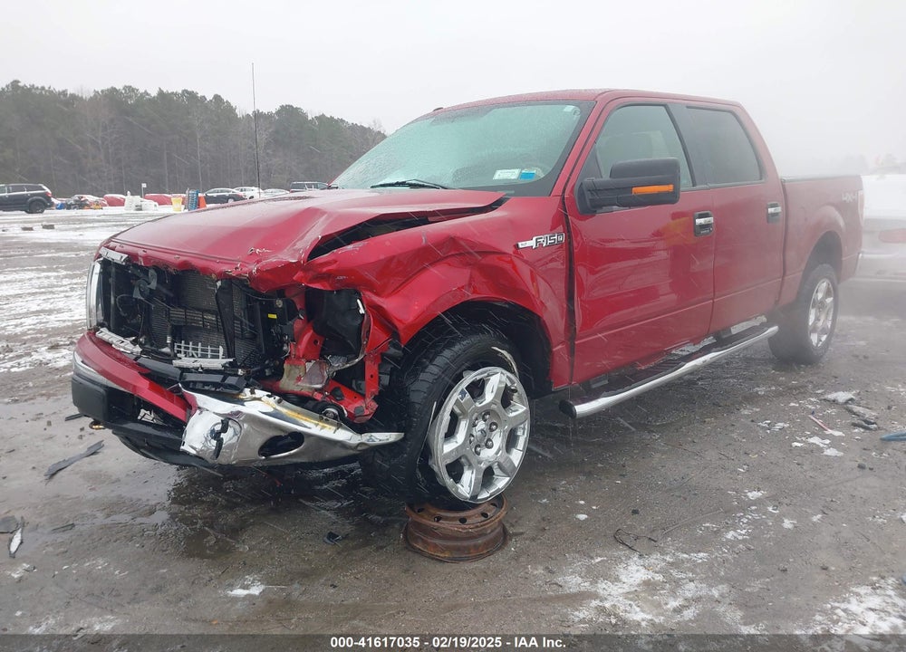 2014 FORD F-150 XLT VIN: 1FTFW1EF5EFA60193