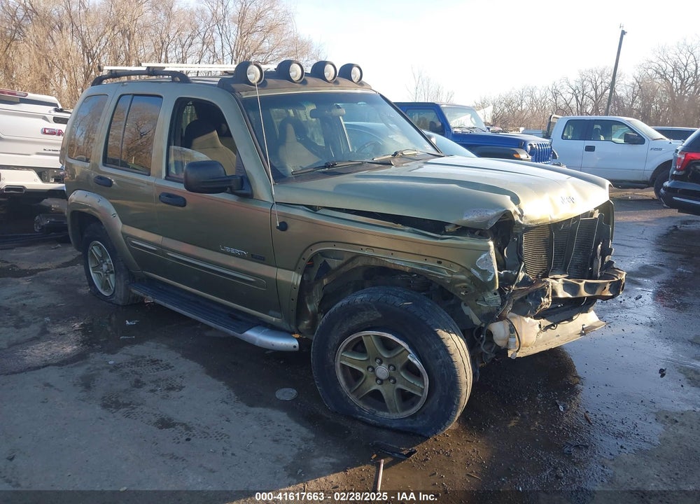 2002 JEEP LIBERTY RENEGADE VIN: 1J4GK38K52W295266