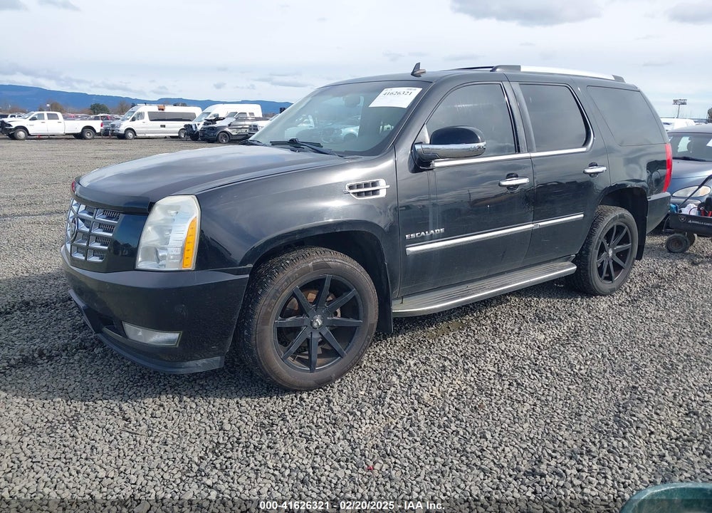 2010 CADILLAC ESCALADE STANDARD VIN: 1GYUKAEF3AR106173