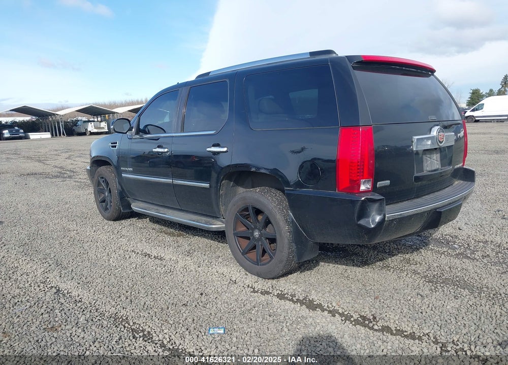 2010 CADILLAC ESCALADE STANDARD VIN: 1GYUKAEF3AR106173