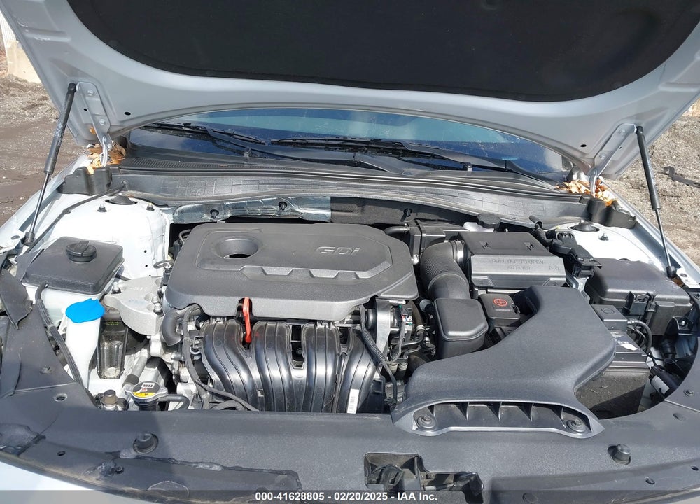 2019 KIA OPTIMA VIN: 5XXGT4L33KG320319
