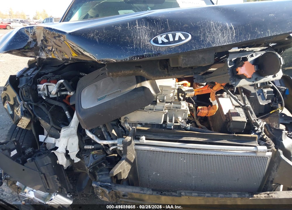 2016 KIA SOUL EV VIN: KNDJX3AE1G7016494