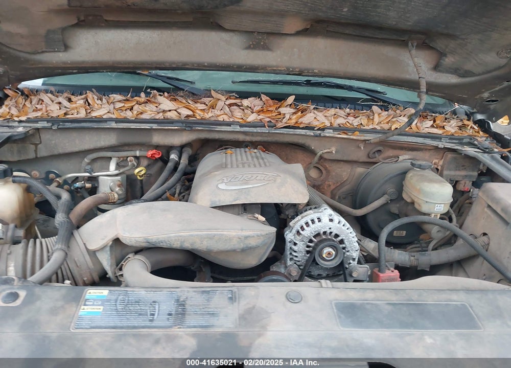 2006 CHEVROLET SILVERADO 1500 LT2 VIN: 1GCEK19BX6Z188783