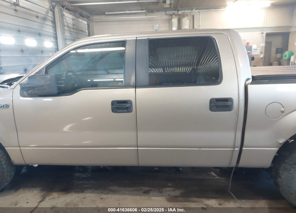 2013 FORD F-150 VIN: 1FTEW1CM8DKF66846