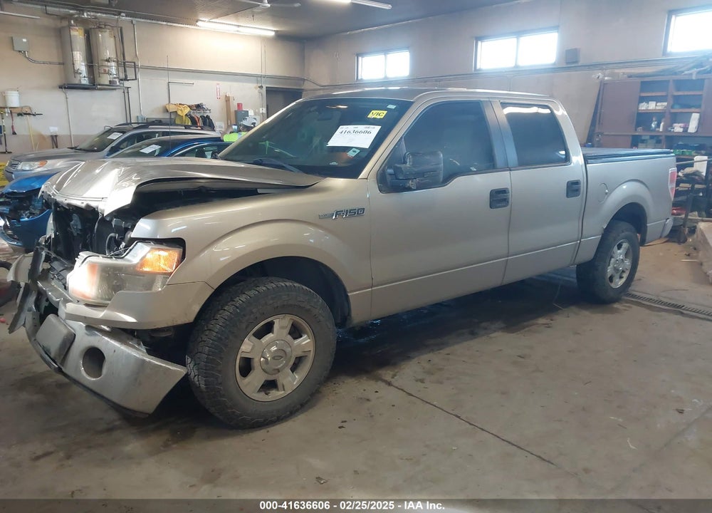 2013 FORD F-150 VIN: 1FTEW1CM8DKF66846
