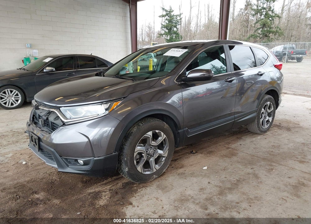 2019 HONDA CR-V EX VIN: JHLRW2H56KX022244