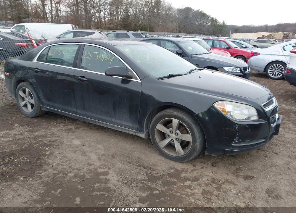 2011 CHEVROLET MALIBU 1LT VIN: 1G1ZC5E11BF266259