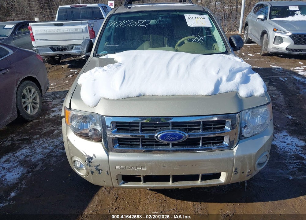 2011 FORD ESCAPE XLT VIN: 1FMCU0D79BKC17042
