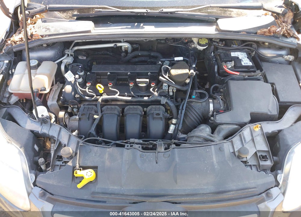2013 FORD FOCUS VIN: 1FADP3K24DL171406