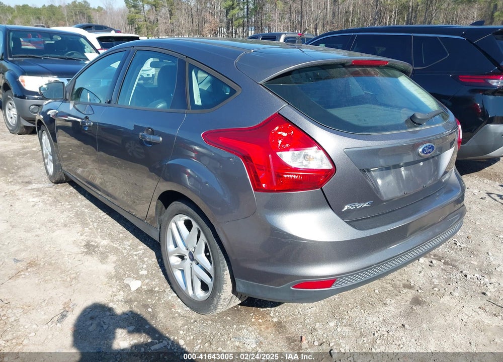 2013 FORD FOCUS VIN: 1FADP3K24DL171406