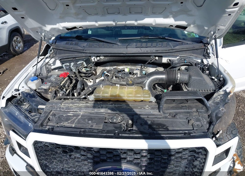 2019 FORD F-150 VIN: 1FTEW1EP8KKD11487