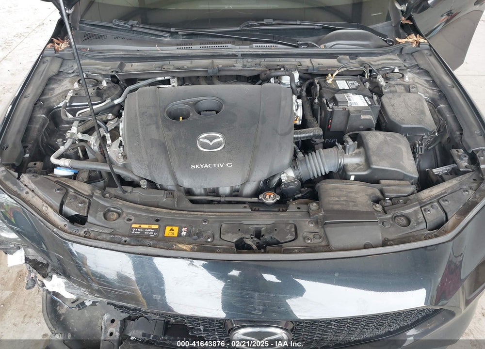 2019 MAZDA MAZDA3 HATCHBACK VIN: JM1BPBJM1K1134076