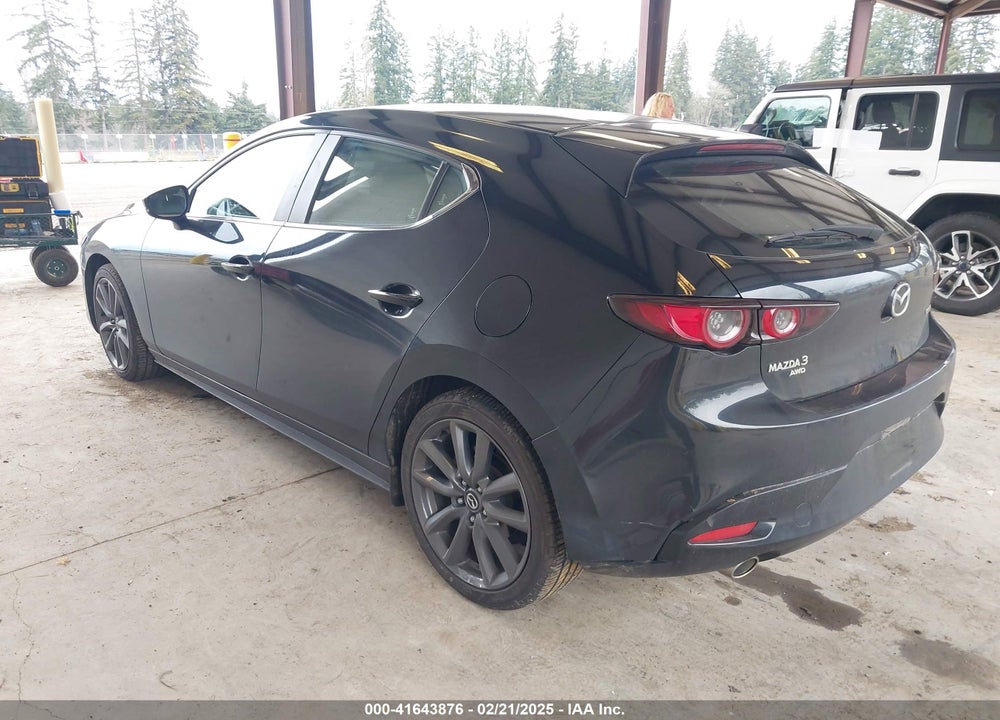 2019 MAZDA MAZDA3 HATCHBACK VIN: JM1BPBJM1K1134076