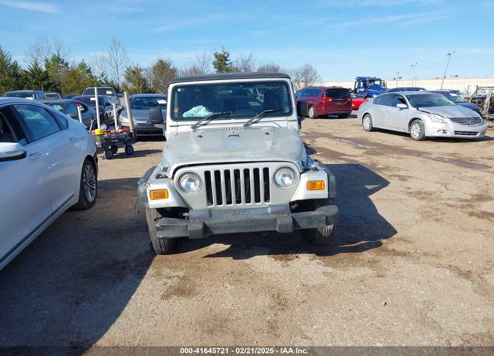 2004 JEEP WRANGLER SPORT RHD VIN: 1J4F449SX4P780560